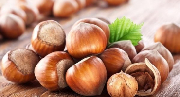 Jak doma skladovat loupané a neloupané lískové ořechy